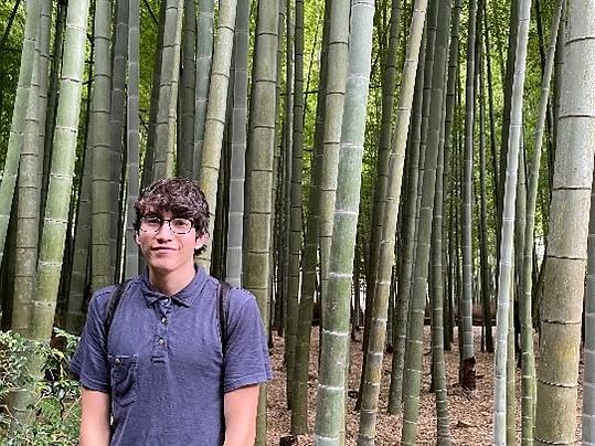 戴眼镜的学生在竹林里摆姿势拍照