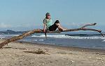 一名学生坐在一大块浮木上，浮木被冲上了巴布亚海滩, 2018年夏季新西兰留学之旅期间，学生们住的房子离哪里近. 