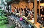 Students having Tea at Bamboo Garden during Summer 2019 Study Abroad trip to 日本.